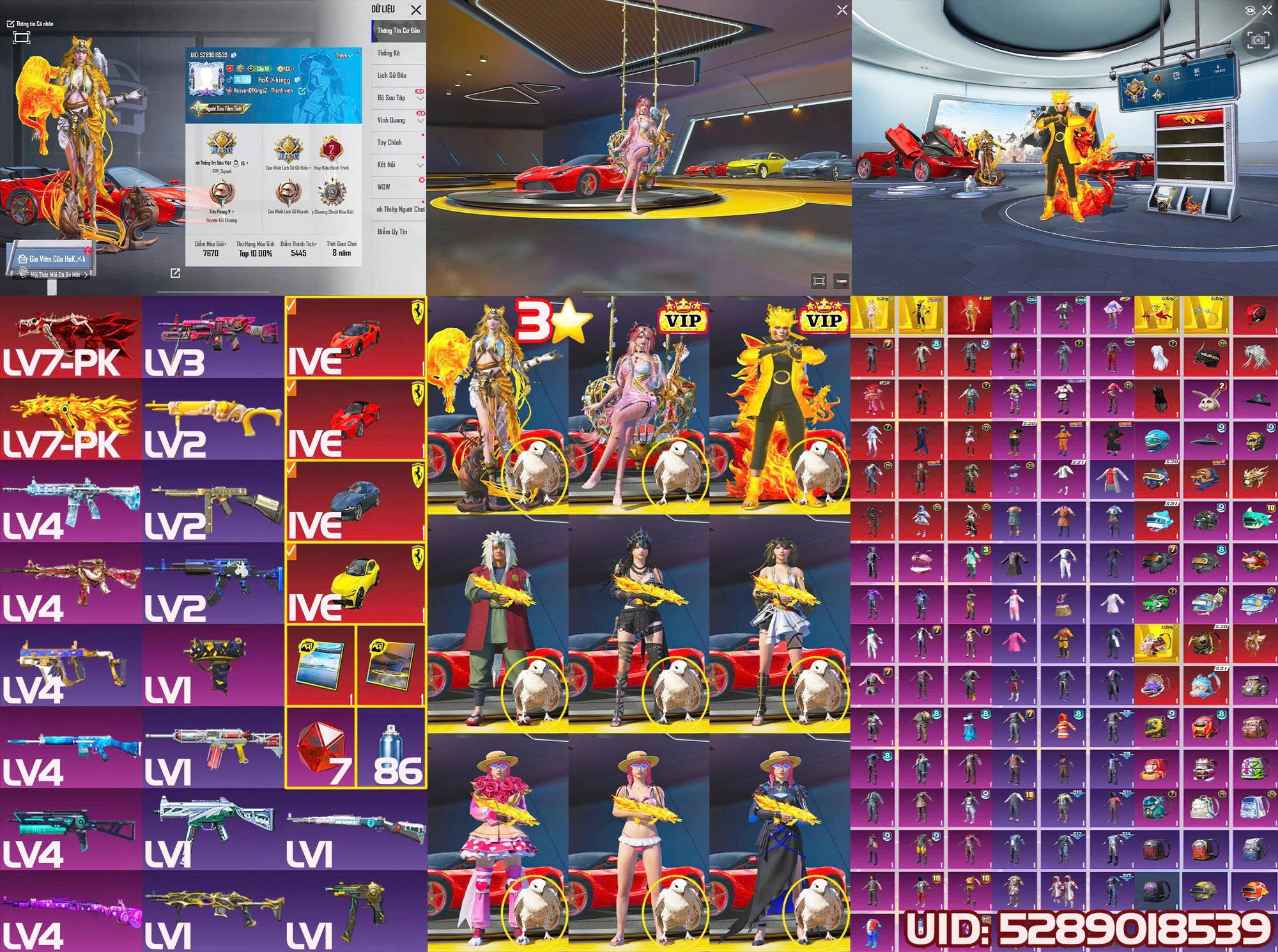 Ảnh tài khoản mã 209